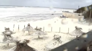 Fenómeno de espuma marina en la costa: impacto en la región y análisis de la situación
