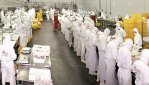 Cierre de planta de Granja Tres Arroyos: un golpe a la economía local