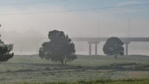 Necochea y Quequén bajo alerta meteorológica por niebla y neblinas