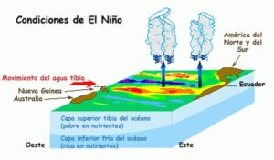 El Niño 2026: Claves para la Campaña Agrícola
