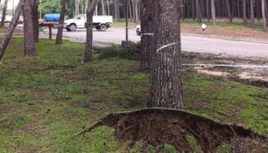 Municipio de Necochea Actúa con Precaución en Temporal Marítimo