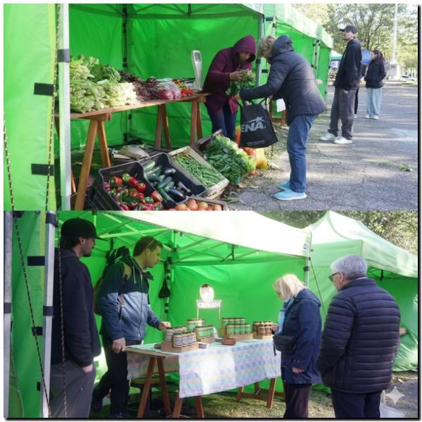 Mercado de Productores Locales Regresa a la Plaza Dardo Rocha