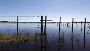 Necochea: situación hídrica muestra señales de mejora tras el temporal