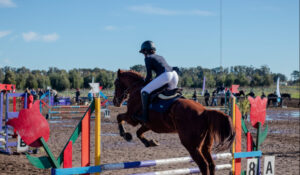Necochea revive su tradición ecuestre con regreso de competencias de salto hípico