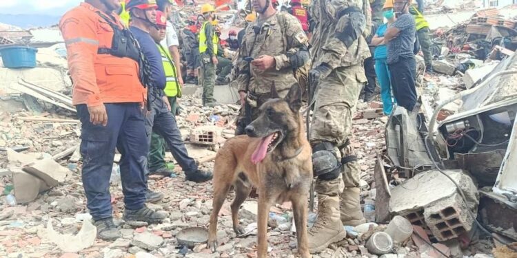 Argentinos y su perro heroico rescatan a dos menores de una estructura en Venezuela