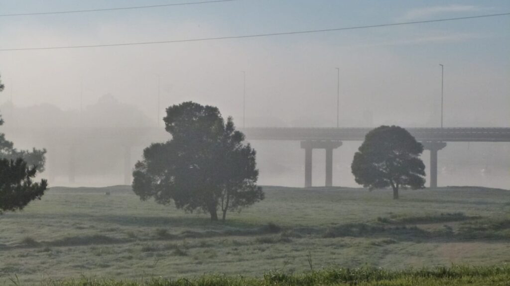Clima en Necochea y Quequén: Pronóstico del Servicio Meteorológico Nacional