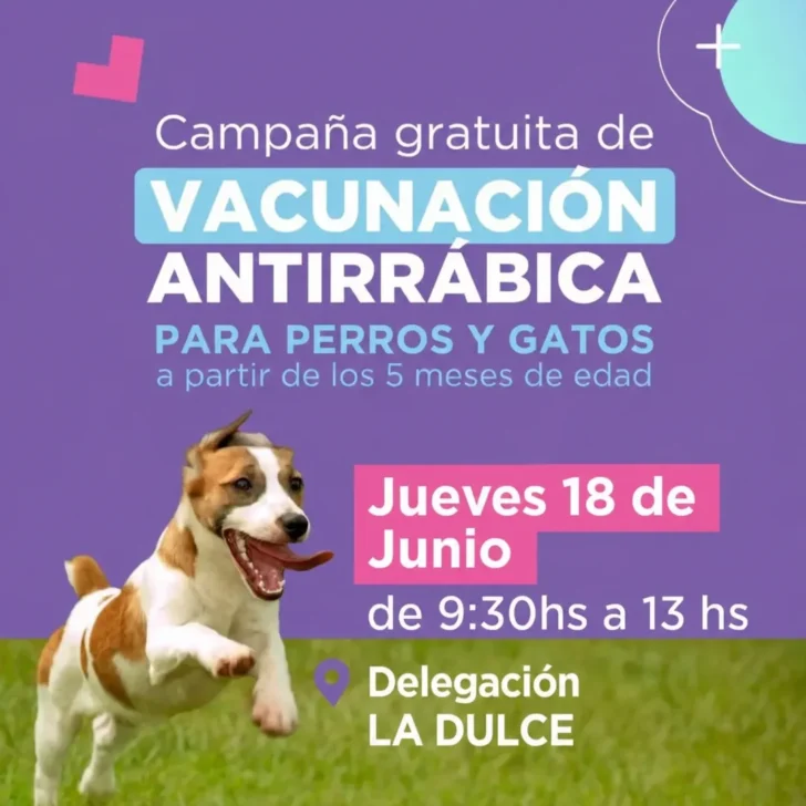 Vacunas para mascotas: La Municipalidad de Necochea fortalece la salud animal en la región