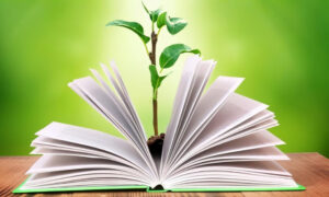 Seminario de Educación Ambiental en Necochea: Aprendizaje y Participación Ciudadana