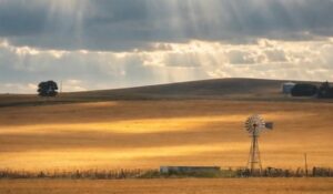 Fin del clima inestable: Necochea y Quequén disfrutarán de un viernes soleado