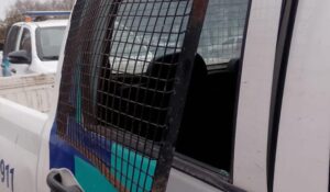 Policía Impide que Dos Hombres Ebrios Conduzcan una Camioneta en Necochea