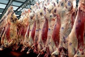 Una oportunidad para la ganadería argentina: ¿cómo aprovechar la demanda internacional de carne vacuna?