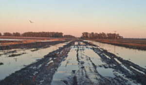 La crisis del campo de Necochea, una advertencia del deterioro de la red vial rural