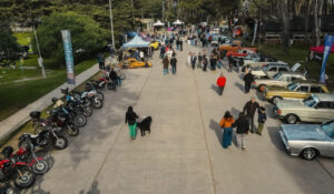 Car Show de Necochea: Una Fiesta de Autos Históricos y Deporte Motor