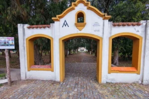 Museos Municipales de Parque Miguel Lillo: descubre la historia y el patrimonio de Necochea