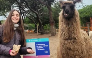 Un lugar mágico para disfrutar de las vacaciones inviernales