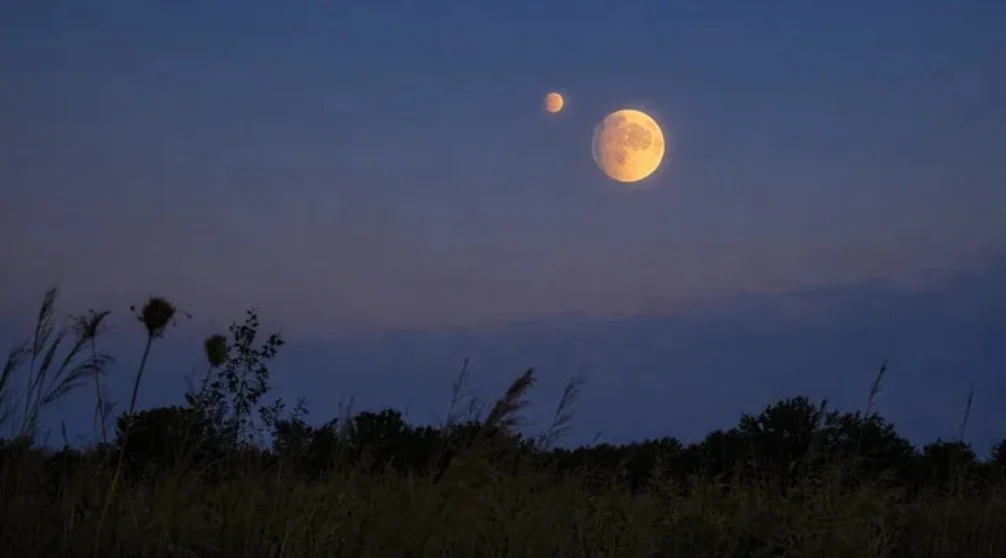 Pronóstico del Servicio Meteorológico para Necochea: Temperaturas y Vientos Previstos