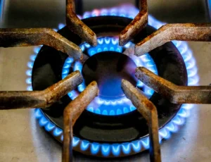 La Zona Fría y los Subsidios al Gas: Un Debate en Foco