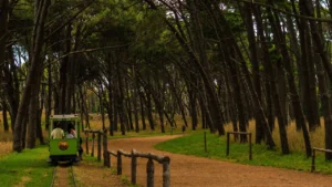 Cambio Climático en Necochea y Quequén: Temperaturas y Precipitaciones para el Sábado 25 de Julio