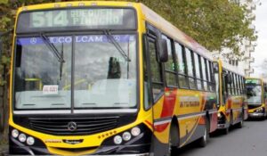 Transportes Necochea no participa de la licitación del servicio de transporte urbano