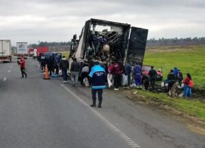 Saqueo en la Ruta Nacional 9: un camión se incendió y decenas de personas se llevaron la carne