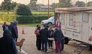 Castración masiva de mascotas en el Corralón Municipal: un servicio gratuitó para la comunidad