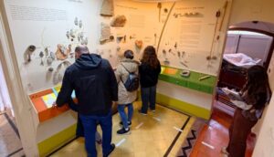 Museos de Necochea invitan al público a disfrutar de sus siete salas