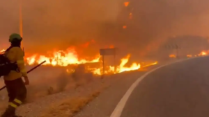 Tragedia en Almería: Incendio forestal deja 12 muertos y 23 desaparecidos